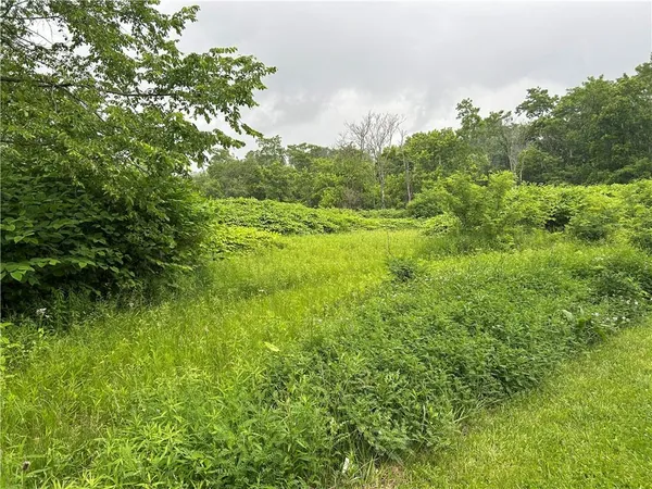 a view of a lush green space