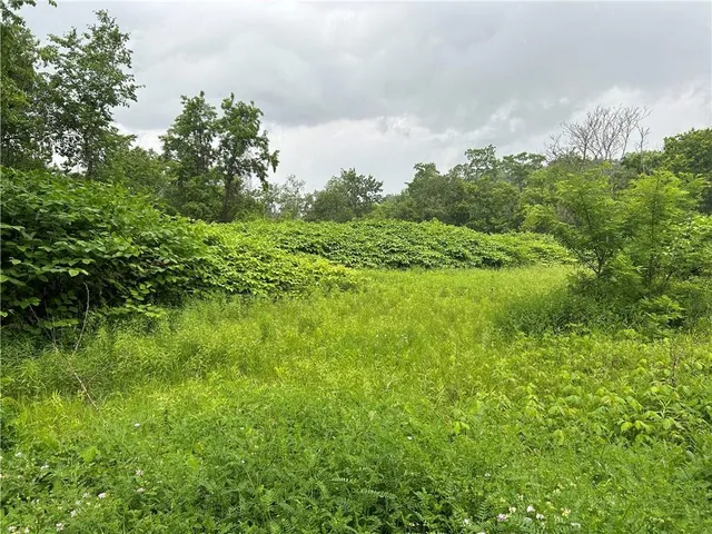 a view of a green field with lots of bushes