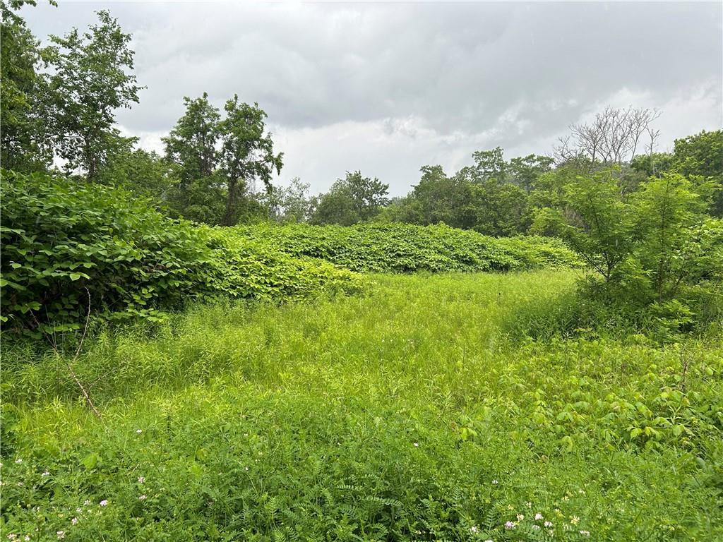 0 Thorn Run Road Coraopolis, PA 15108 - Photo 2 of 2 a view of a green field with lots of bushes