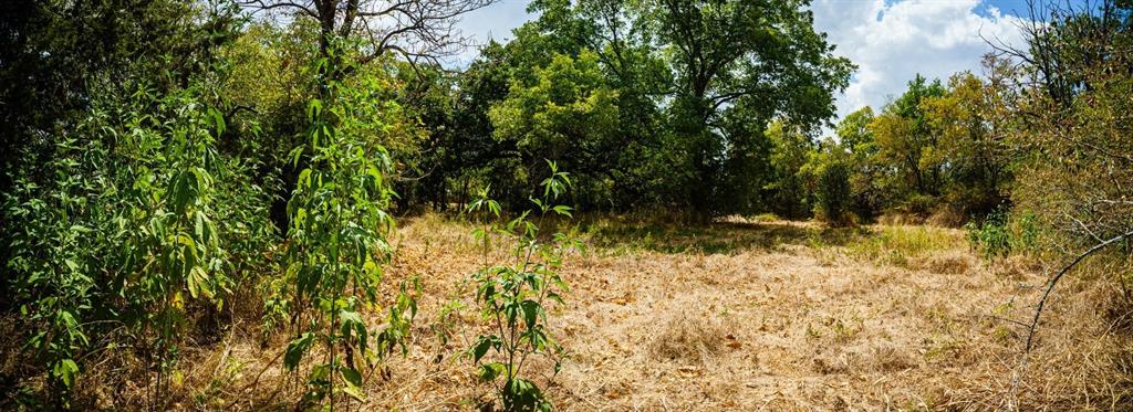 500 College Mound Road Terrell, TX 75160 - Photo 1 of 2 Expansive open field surrounded by mature deciduous trees
