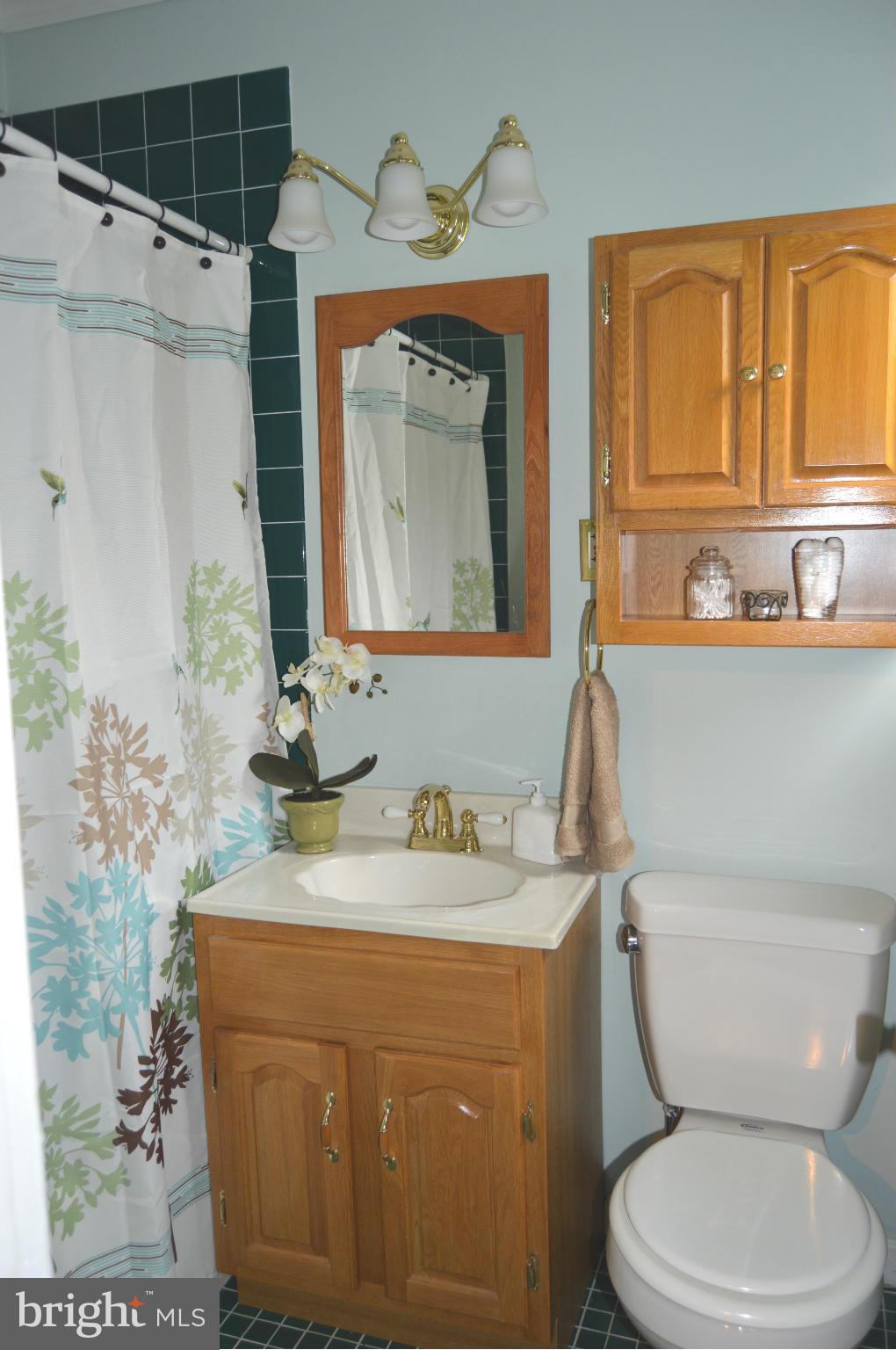 7 Hillside Road Greenbelt, MD 20770 - Photo 14 of 30 Bath (Master)