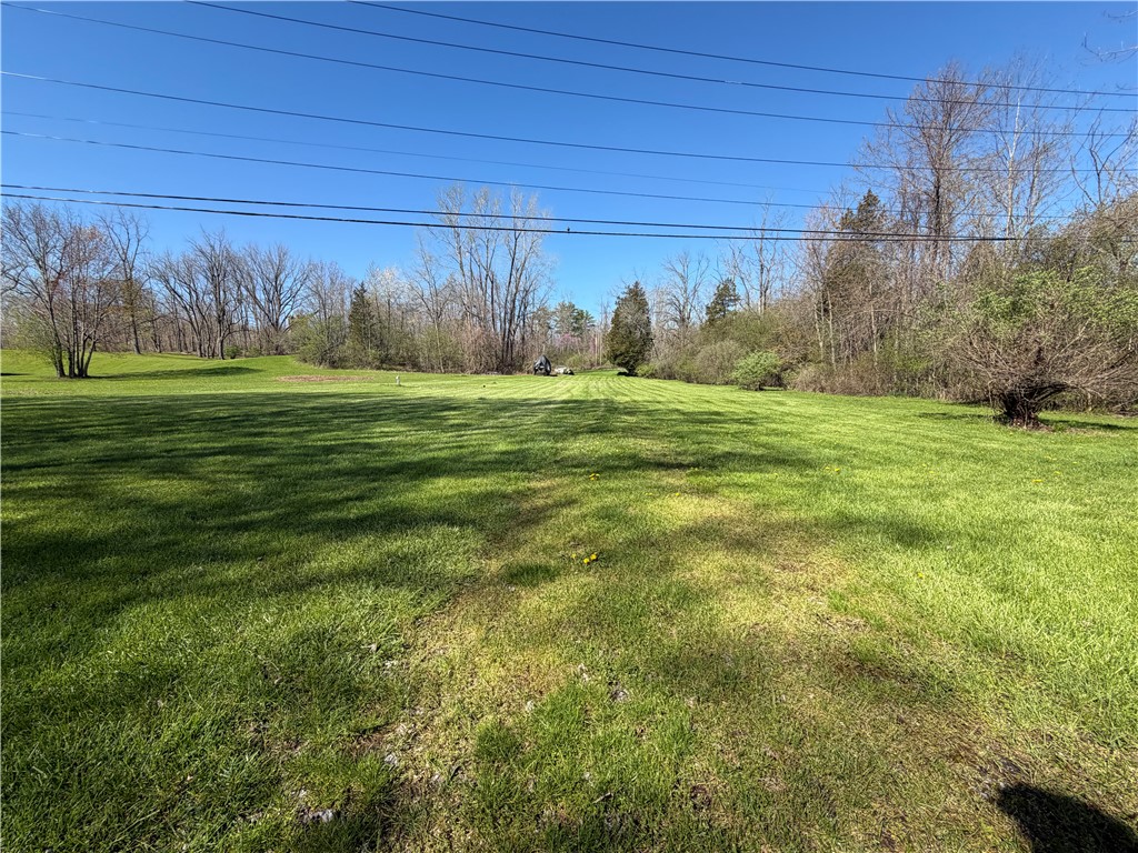 0 Lower Lake Road Seneca Falls, NY 13148 - Photo 6 of 19