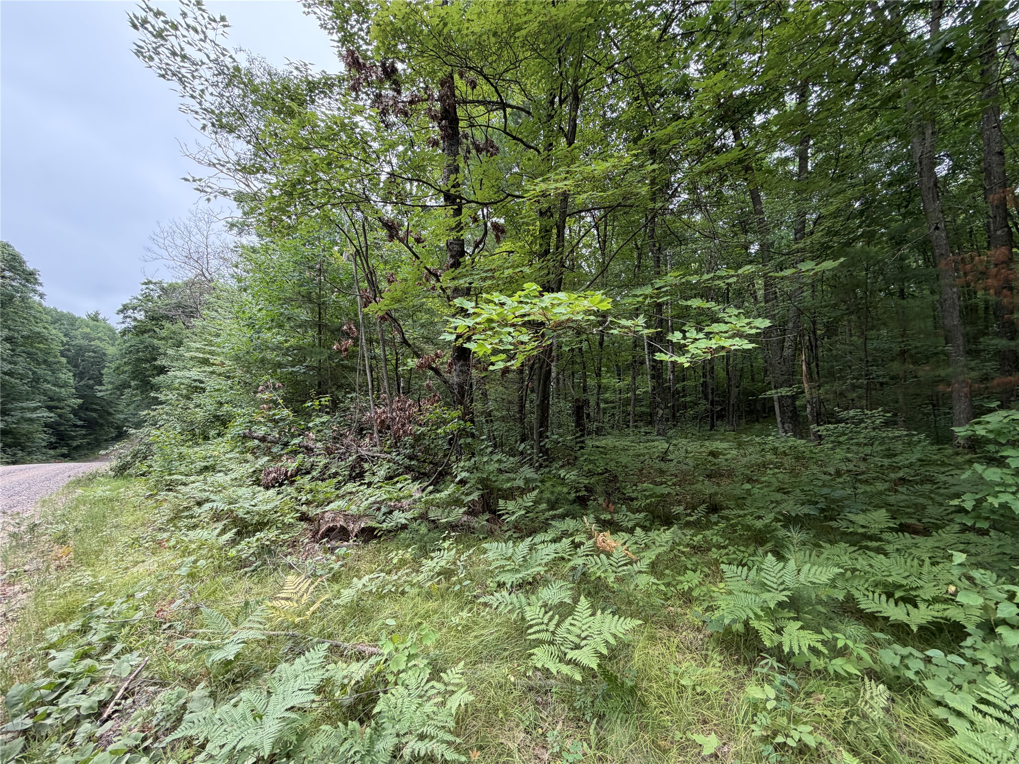 Lot 1 Nor Wis Road North Hayward, WI 54843 - Photo 3 of 37
