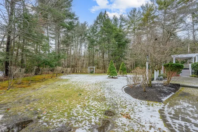 a view of backyard with green space
