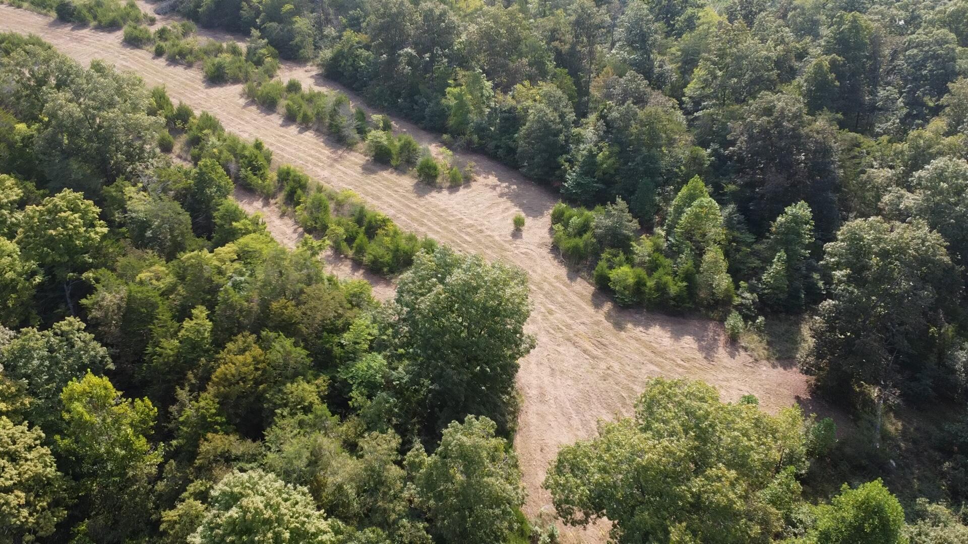 0 County Line Road Columbia, KY 42728 - Photo 5 of 28 222