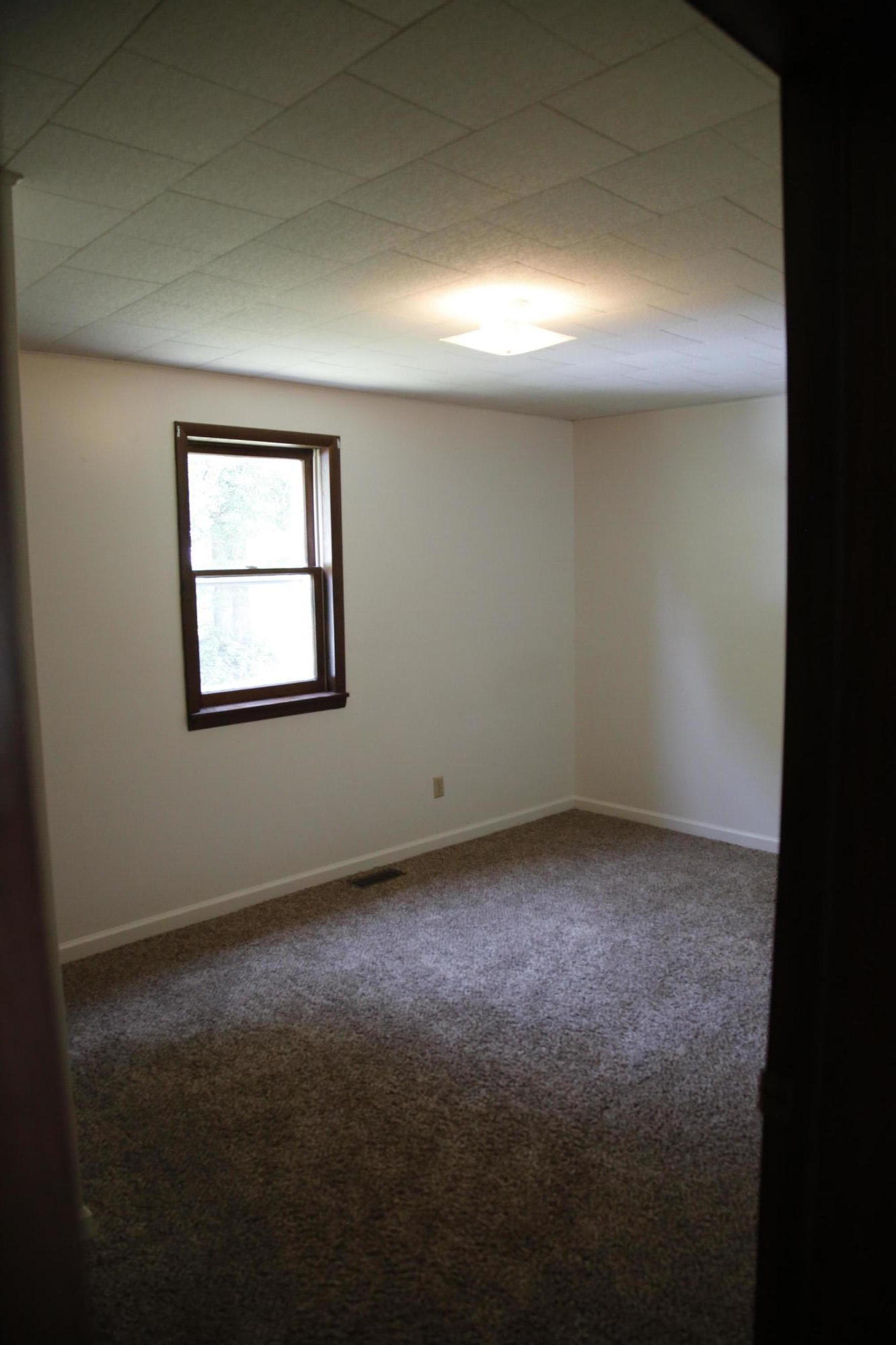 1585 New Lake Road Spring City, TN 37381 - Photo 14 of 14 _62A5024