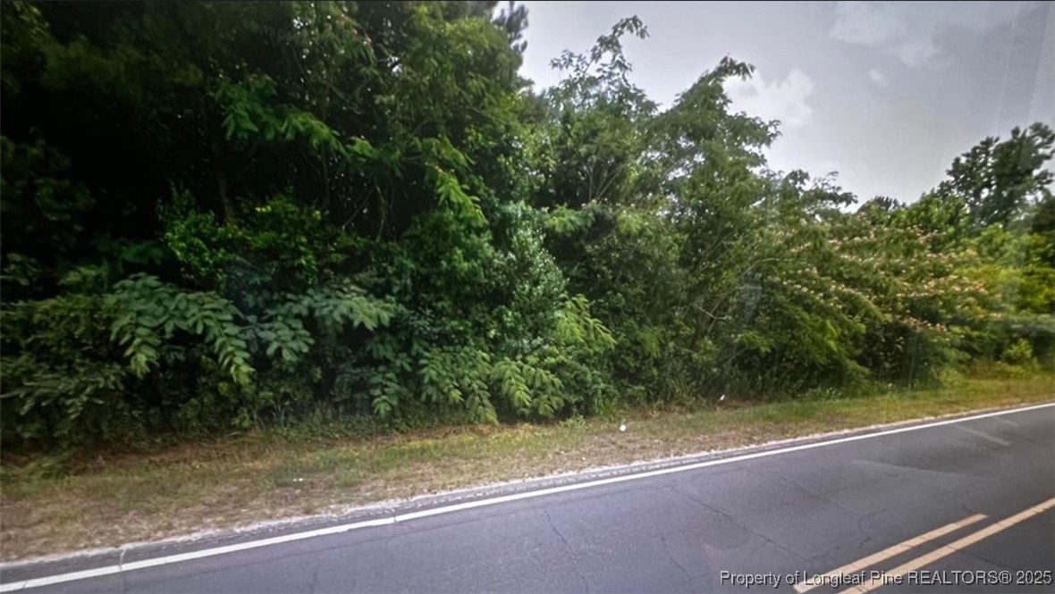 Tbd South Robeson Road Rowland, NC 28383 - Photo 4 of 4