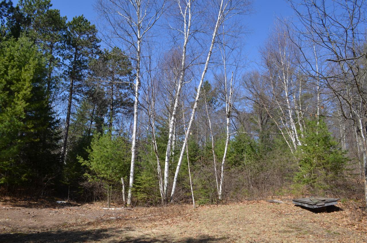 Lot 7 Point O Pines Road Tomahawk, WI 54487 - Photo 21 of 25 Gallery Image 21