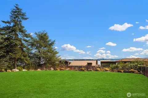 a view of a big yard with a large tree
