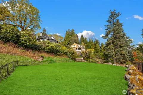 a view of a garden with a tree in a park