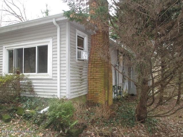 14500 Oldham Acres Road Prospect, KY 40059 - Photo 27 of 27 chimney