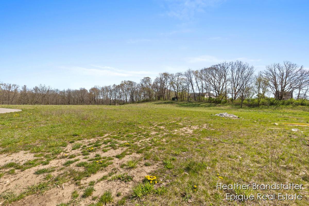 5000 Hickory Pointe Wds Southeast Ada, MI 49301 - Photo 2 of 5 IMG_1001