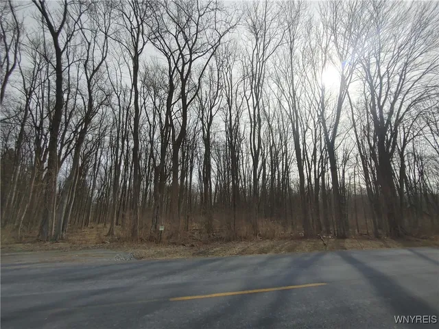 $18,500 | Murdock Road, Medina, NY 14103