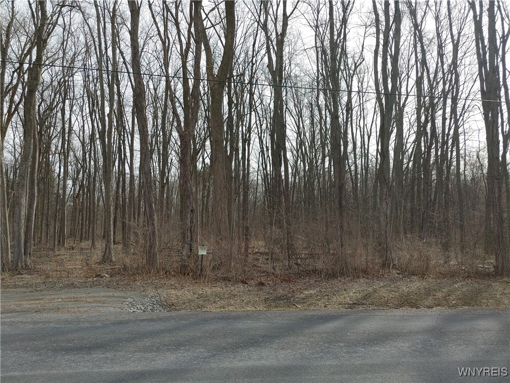 Murdock Road Medina, NY 14103 - Photo 2 of 11