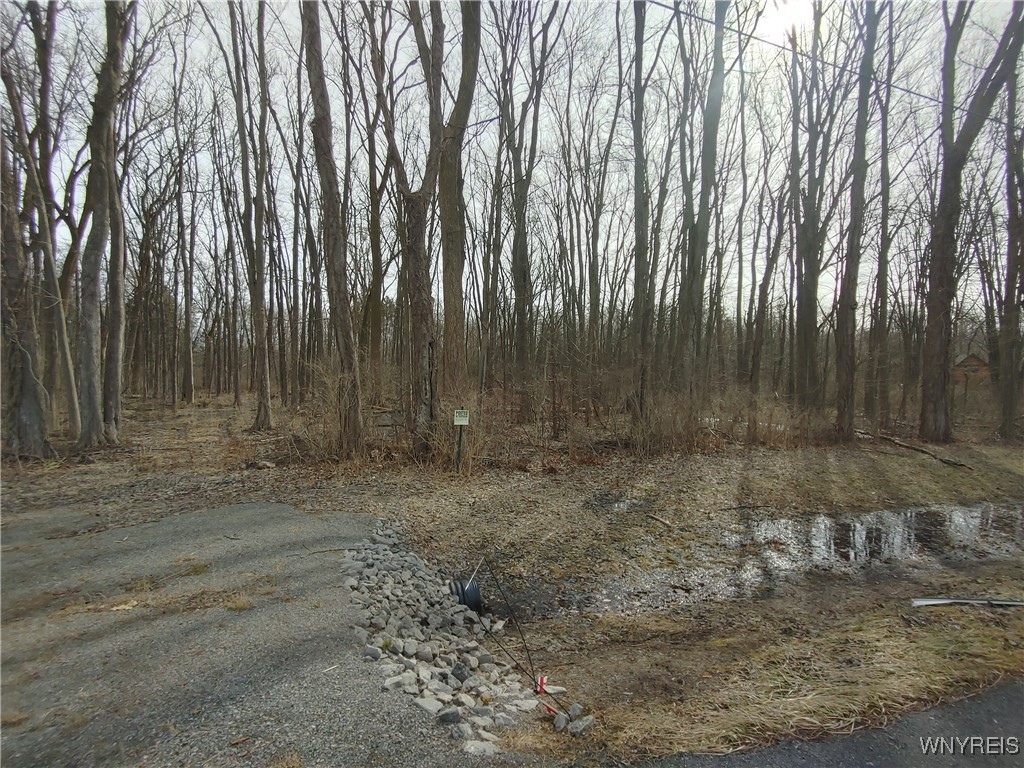 Murdock Road Medina, NY 14103 - Photo 3 of 11