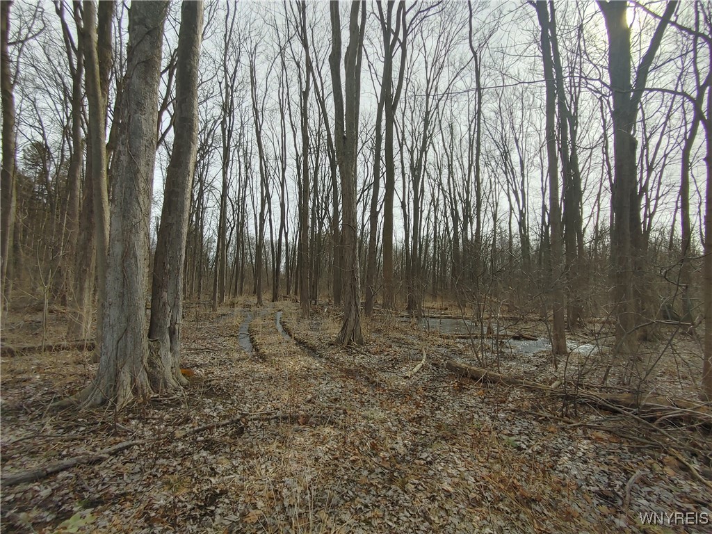 Murdock Road Medina, NY 14103 - Photo 6 of 11