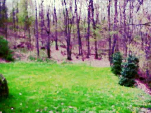 1608 Old State Road Gibsonia, PA 15044 - Photo 2 of 8 Gallery Image 2