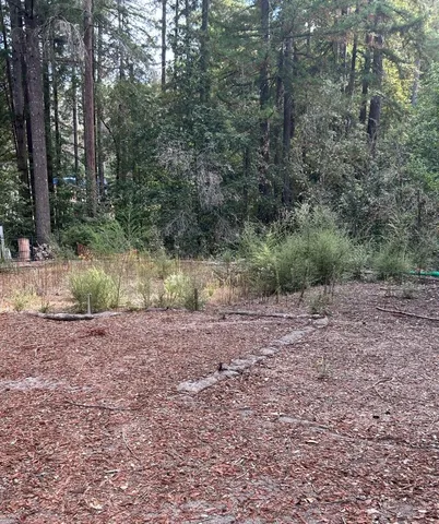 a view of outdoor space with trees