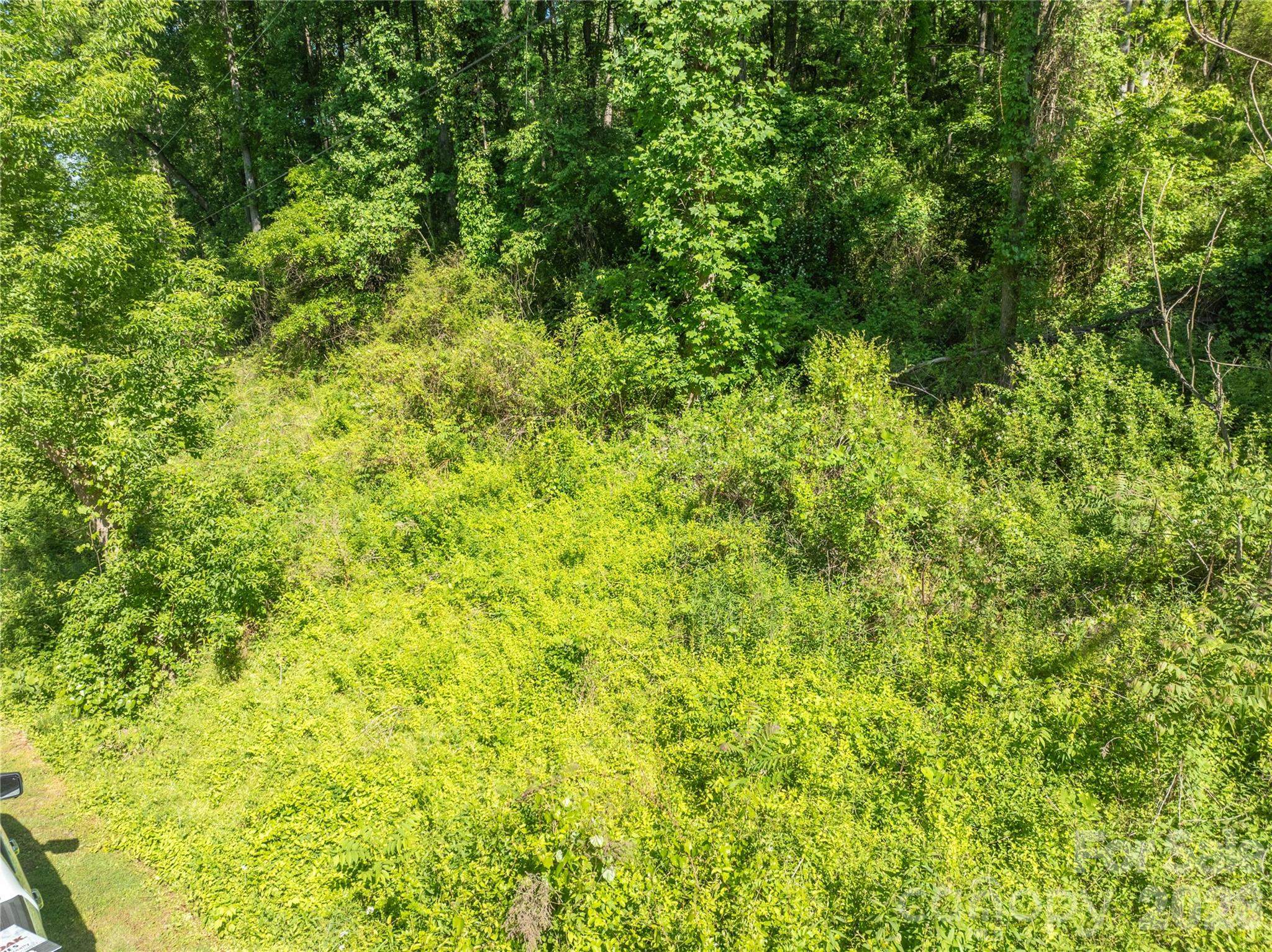 Tbd Harkins Cove Road Canton, NC 28716 - Photo 8 of 12 Gallery Image 8