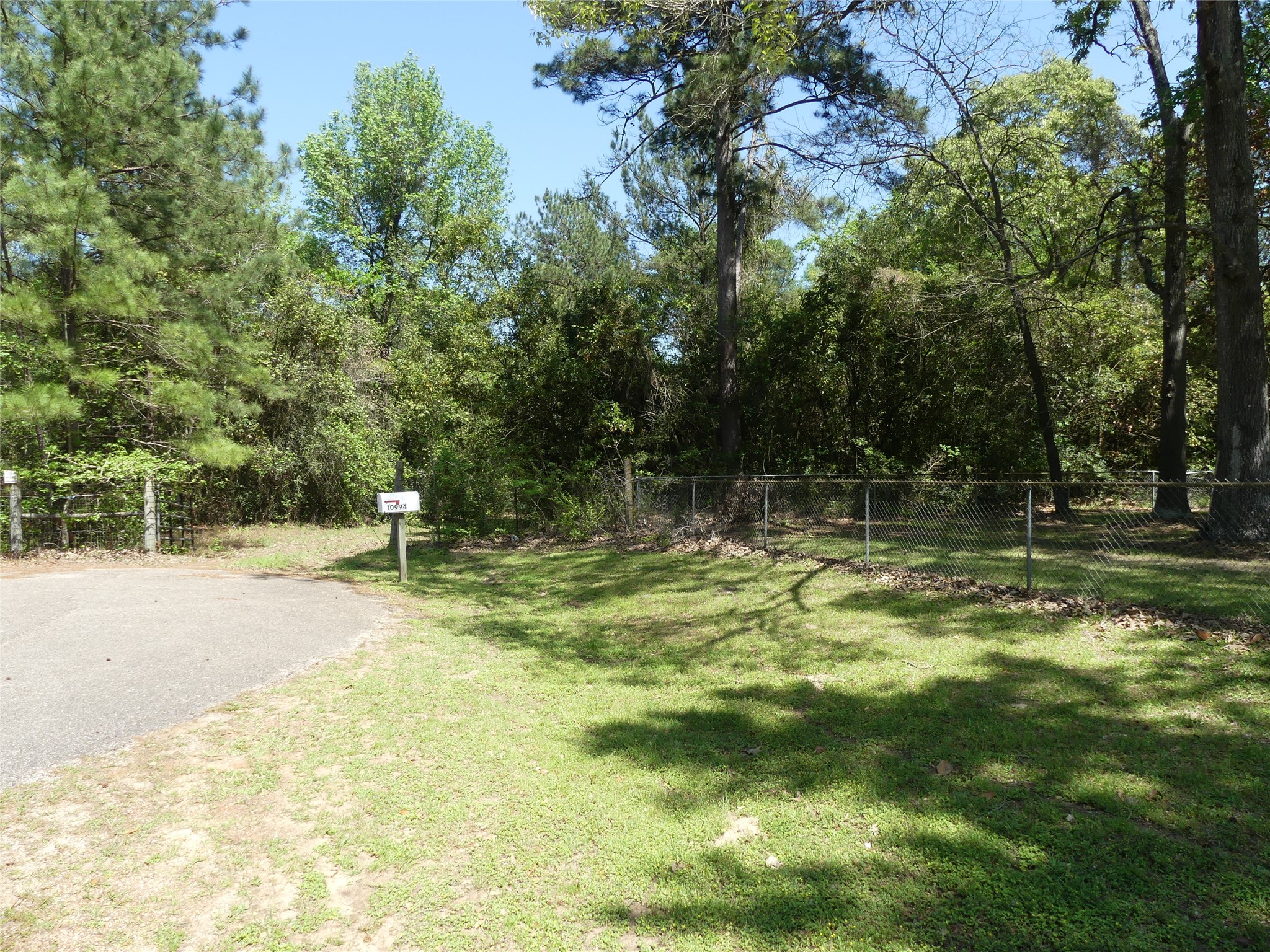 10994 Kittys Lane Conroe, TX 77303 - Photo 1 of 25 a swimming pool with trees in the background