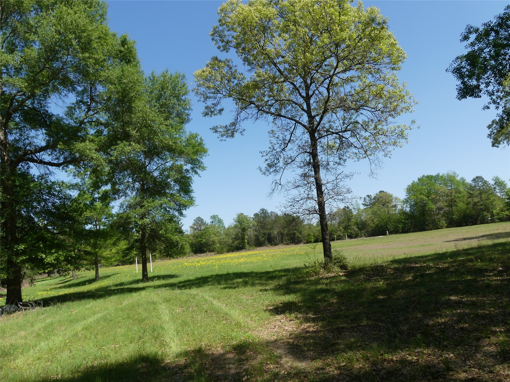 10994 Kittys Lane Conroe, TX 77303 - Photo 11 of 25 a view of an outdoor space with a lake view