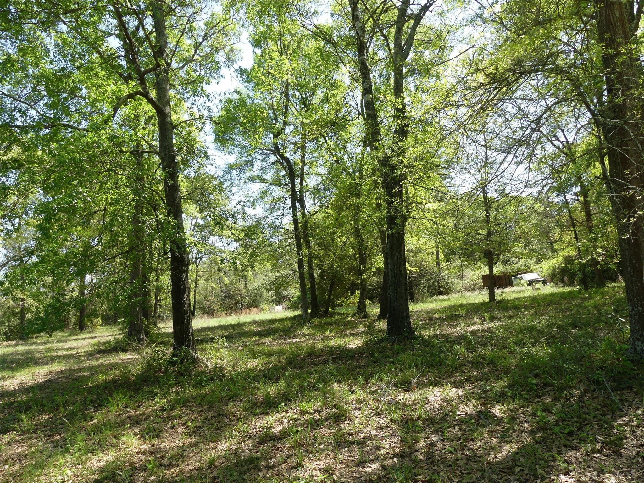 10994 Kittys Lane Conroe, TX 77303 - Photo 12 of 25 a backyard of a house with lots of green space