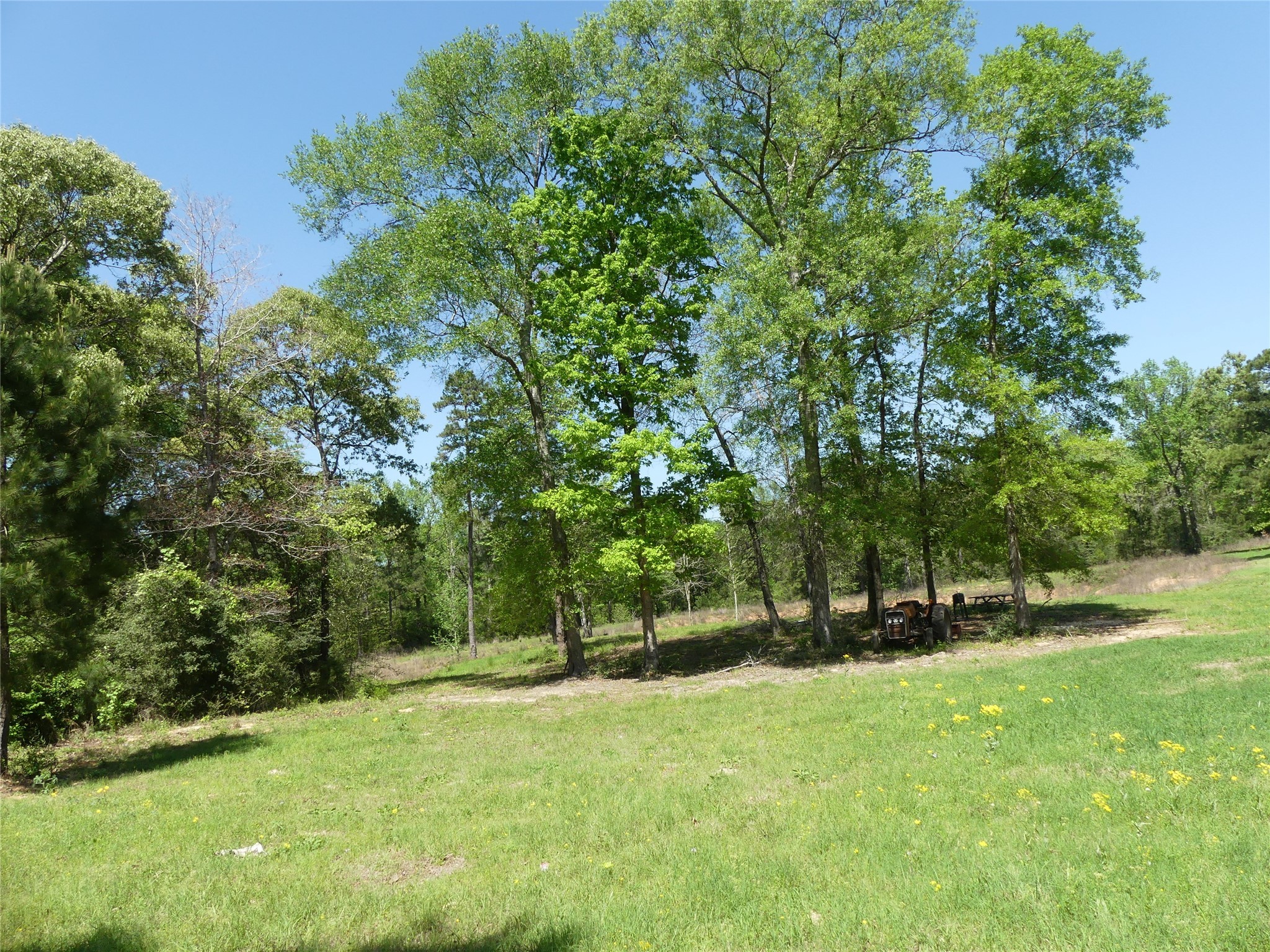 10994 Kittys Lane Conroe, TX 77303 - Photo 13 of 25 a view of outdoor space with deck and yard