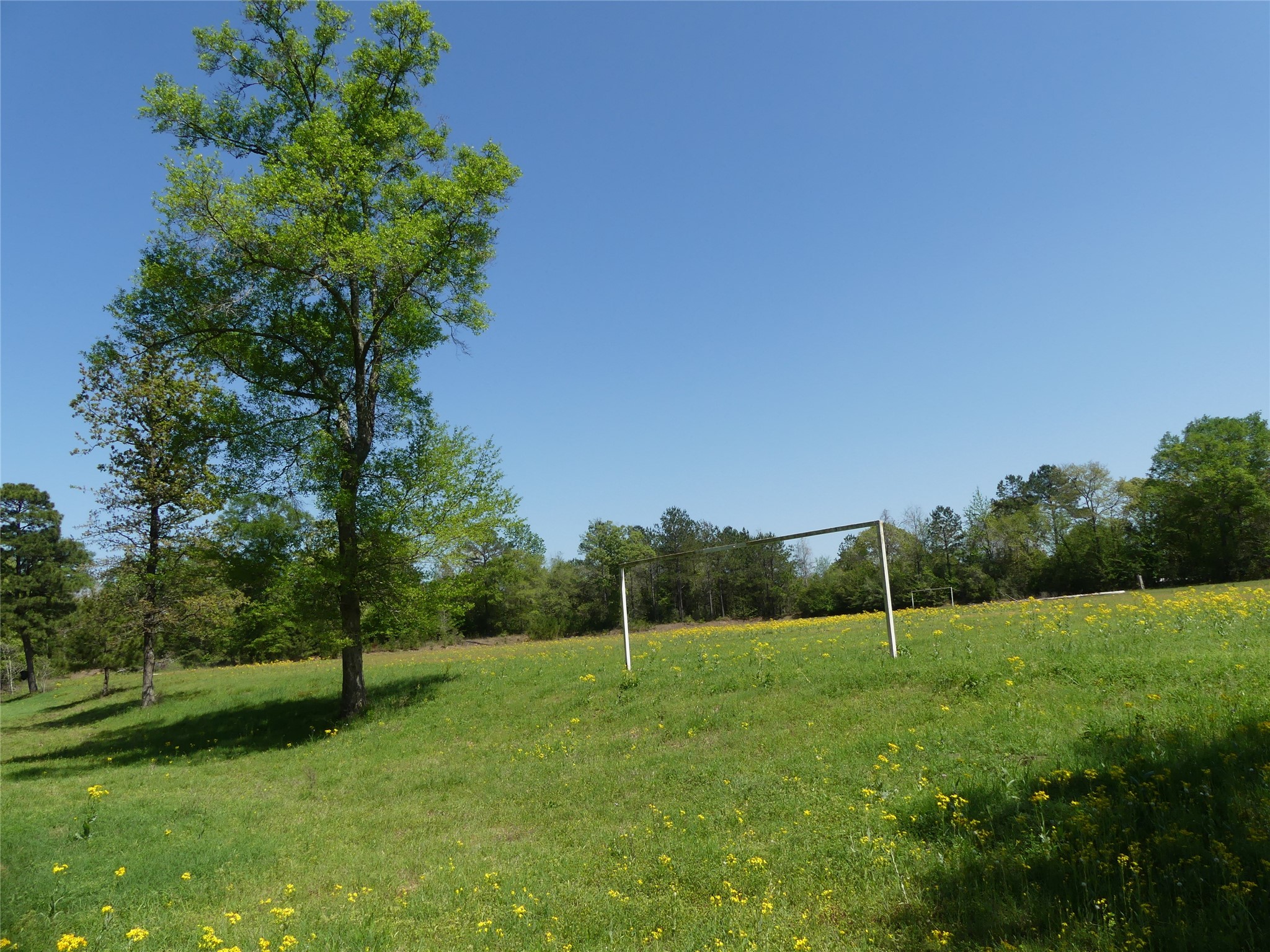 10994 Kittys Lane Conroe, TX 77303 - Photo 14 of 25 a view of a garden