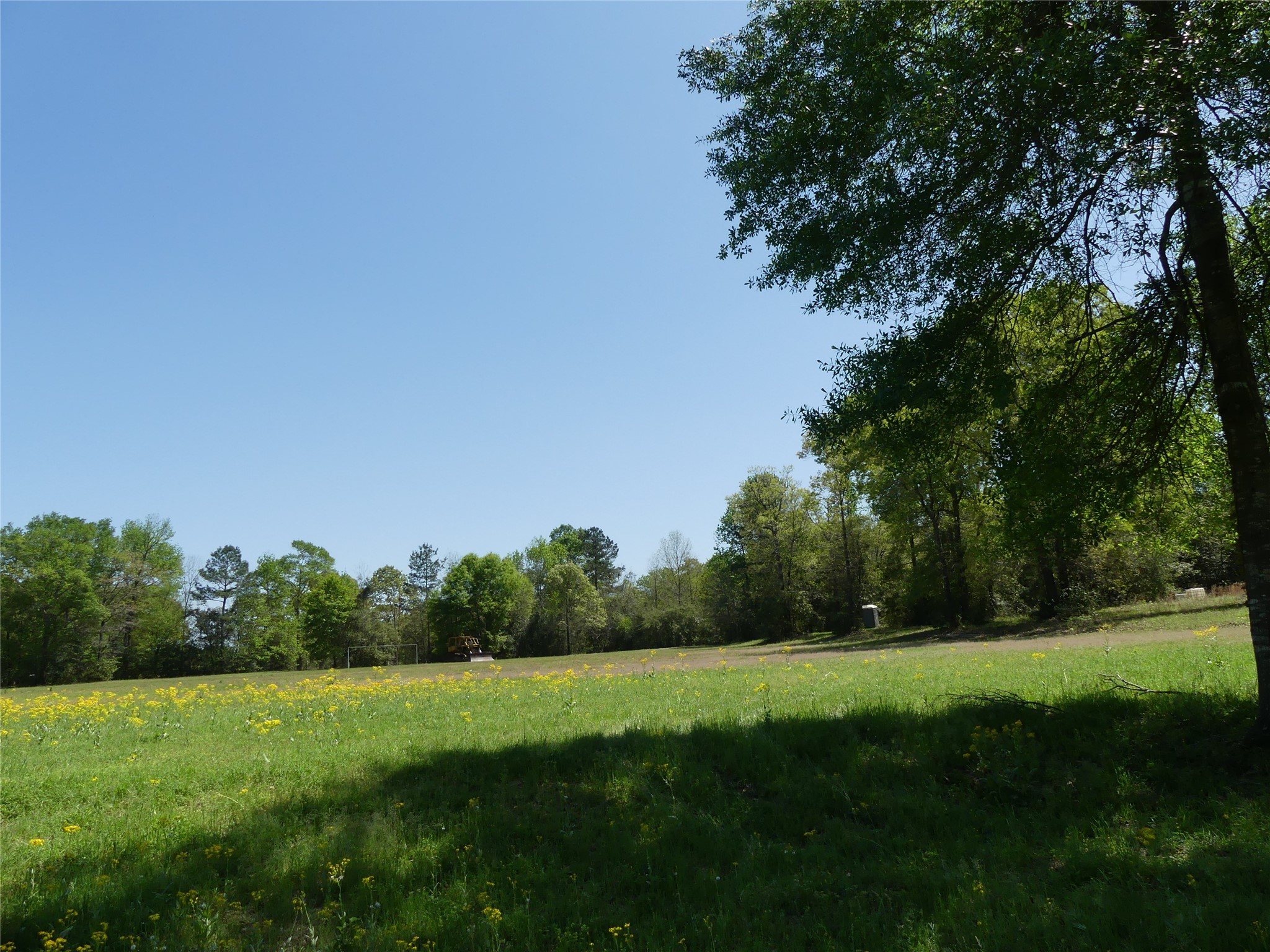 10994 Kittys Lane Conroe, TX 77303 - Photo 15 of 25 a view of grassy field with trees