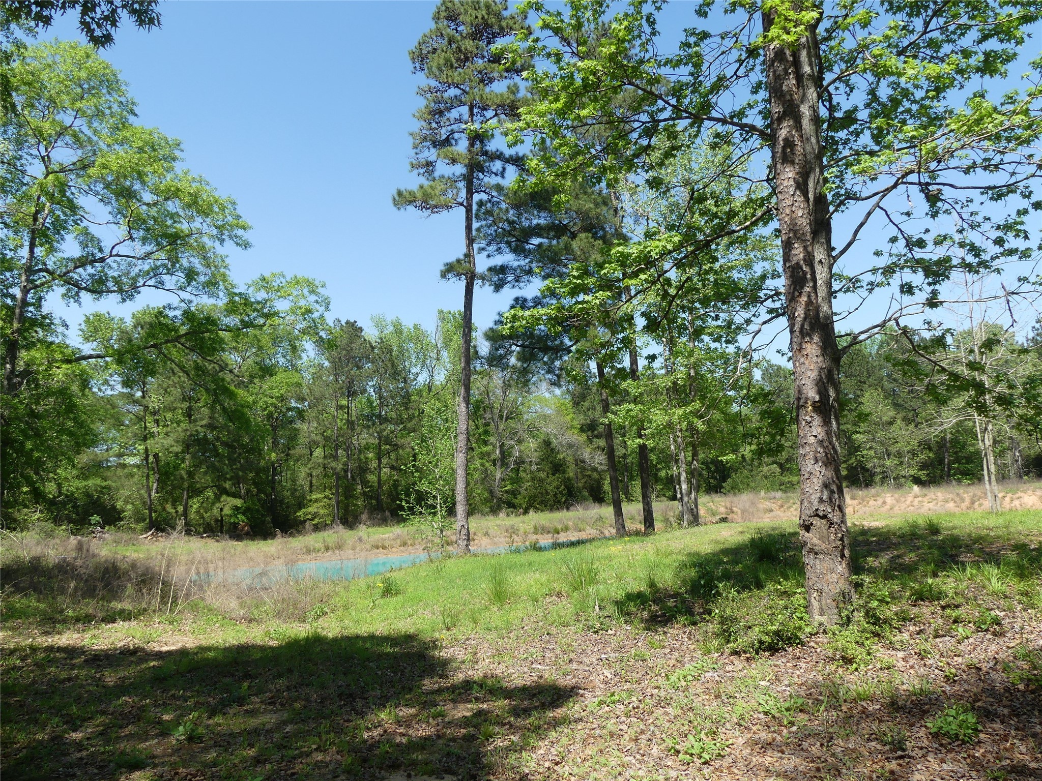 10994 Kittys Lane Conroe, TX 77303 - Photo 17 of 25 a view of outdoor space and yard