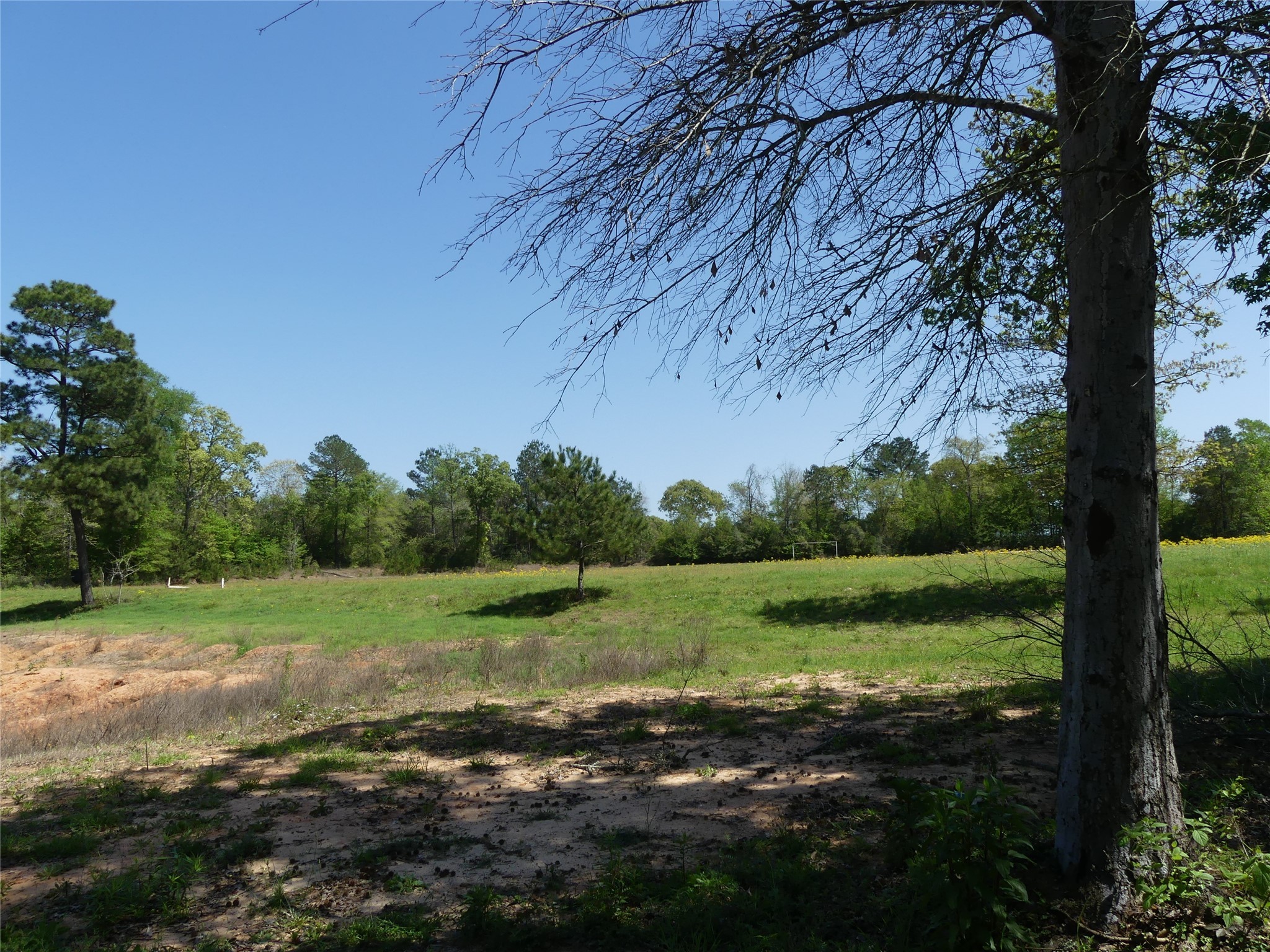 10994 Kittys Lane Conroe, TX 77303 - Photo 18 of 25