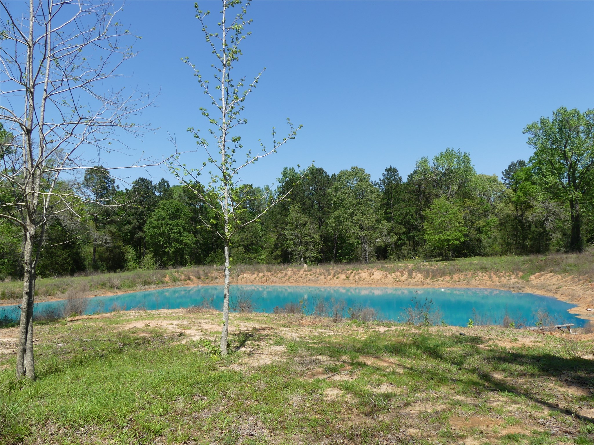 10994 Kittys Lane Conroe, TX 77303 - Photo 19 of 25 a view of a playground with basketball court