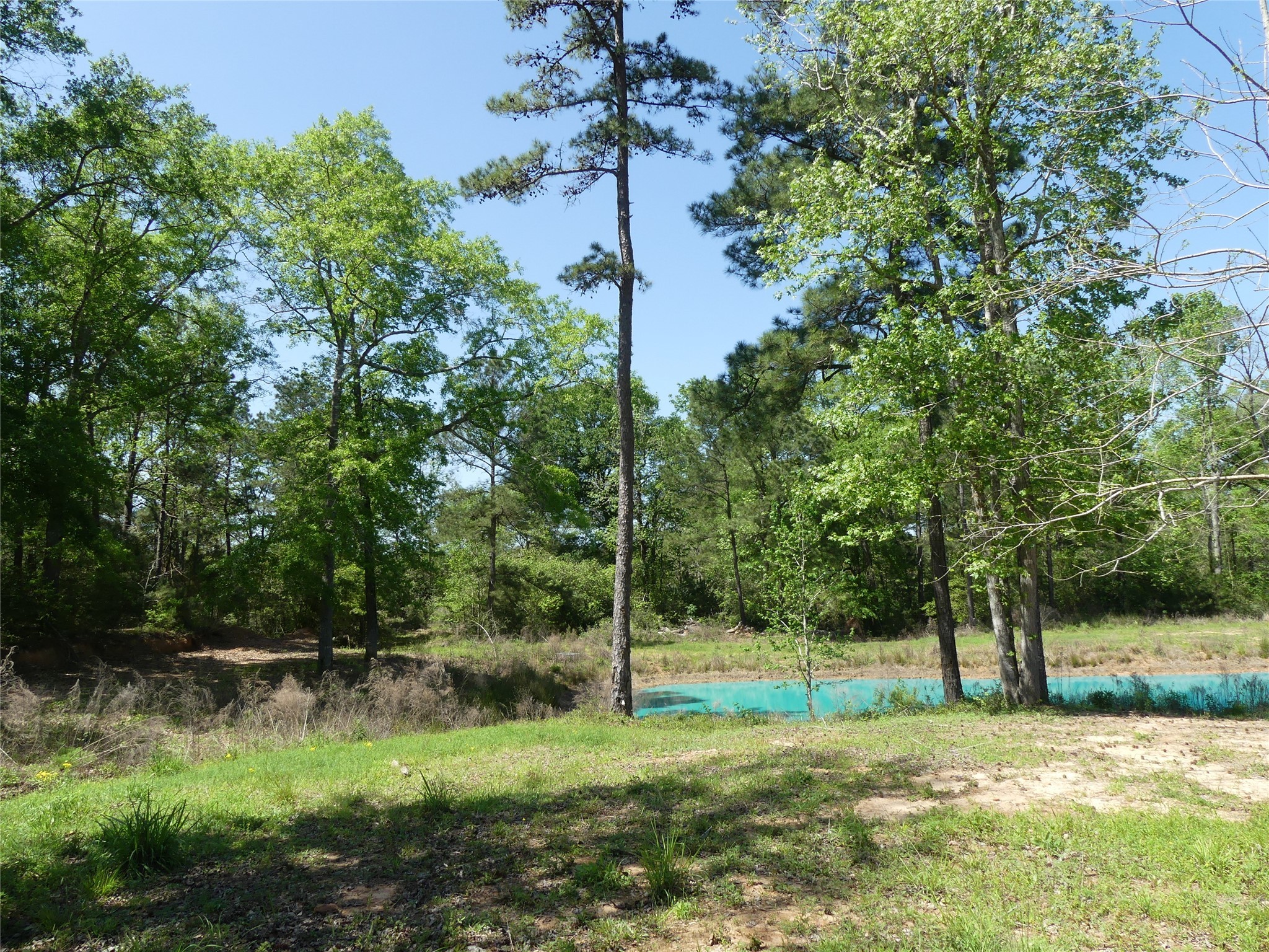 10994 Kittys Lane Conroe, TX 77303 - Photo 20 of 25 a view of a park