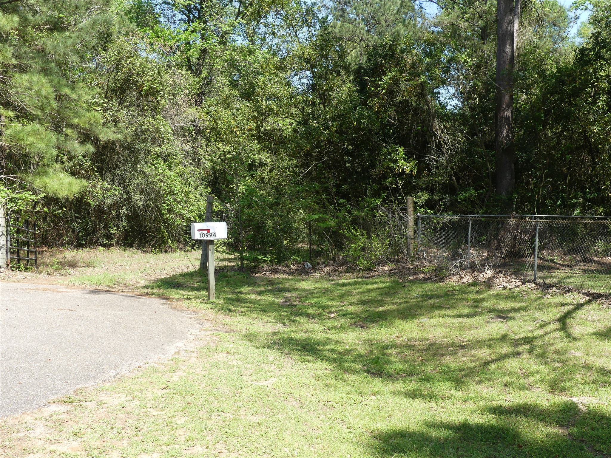 10994 Kittys Lane Conroe, TX 77303 - Photo 2 of 25 a swimming pool with trees in the background