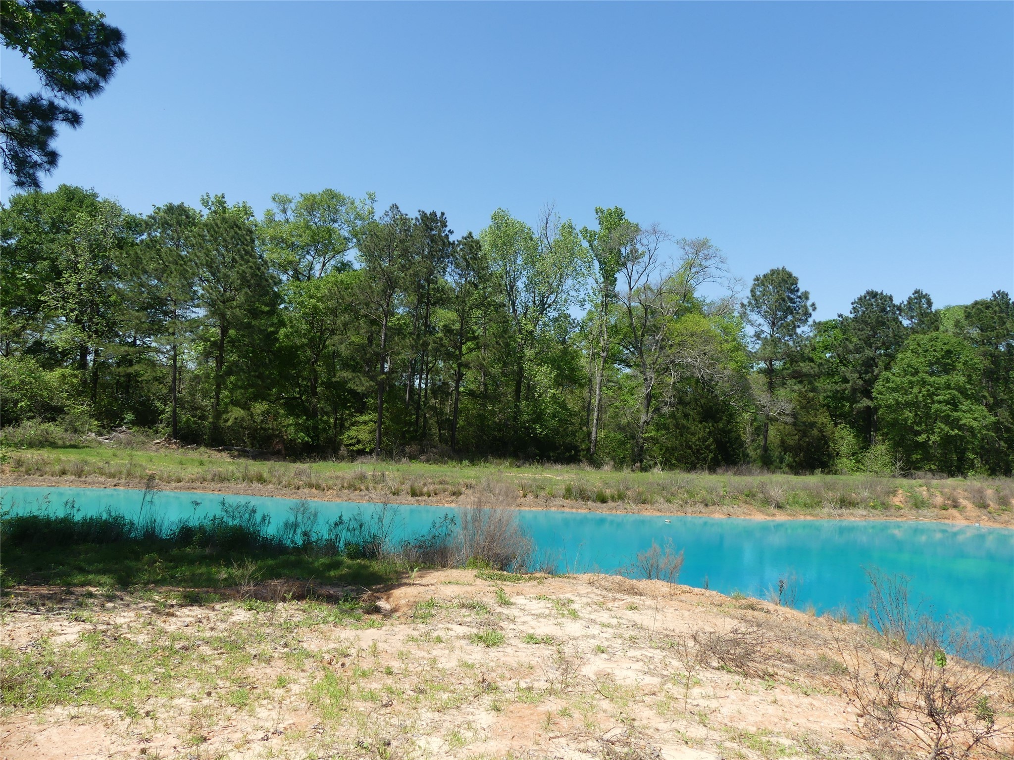 10994 Kittys Lane Conroe, TX 77303 - Photo 22 of 25 a view of a yard