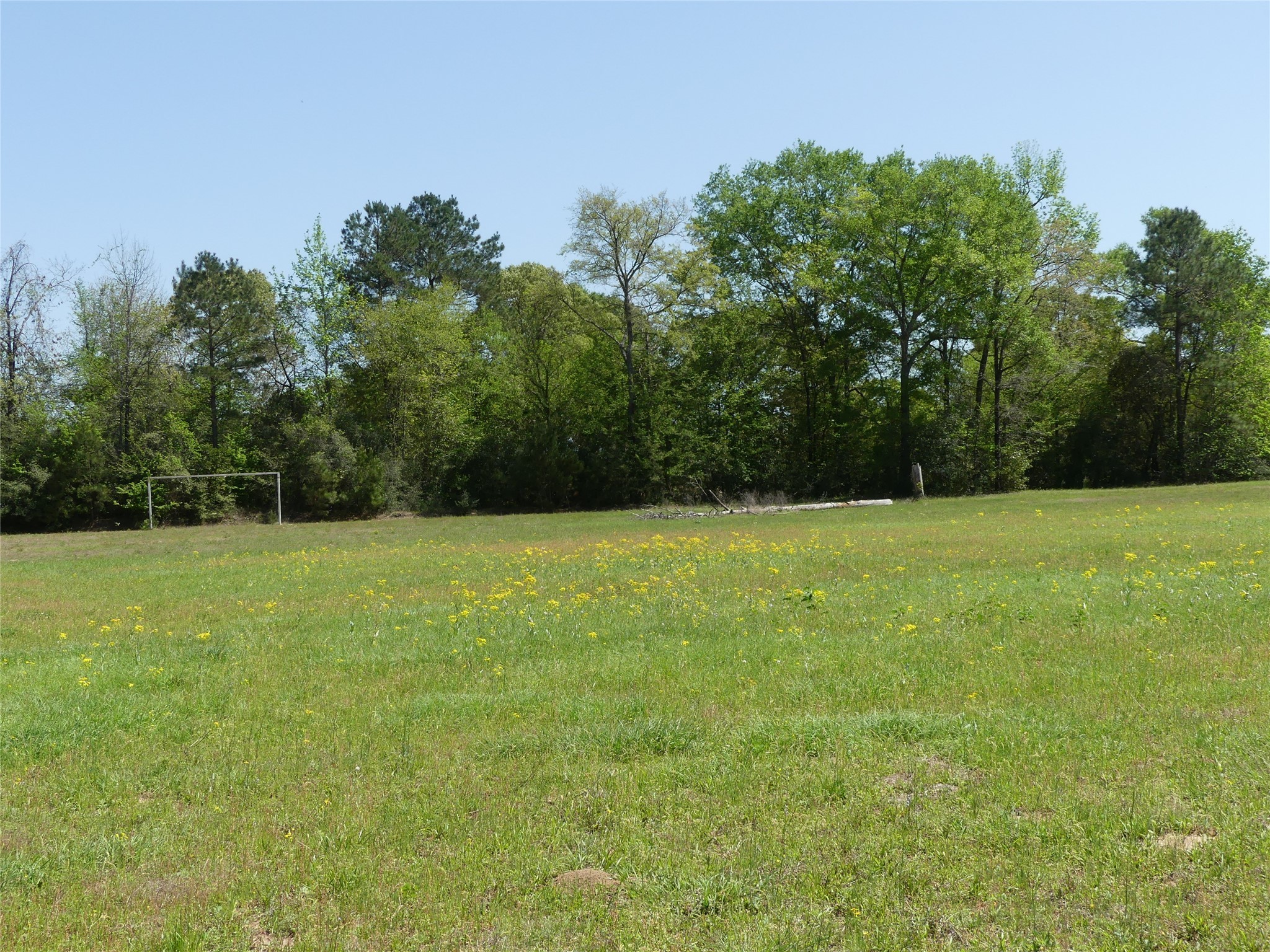 10994 Kittys Lane Conroe, TX 77303 - Photo 23 of 25 a view of a garden