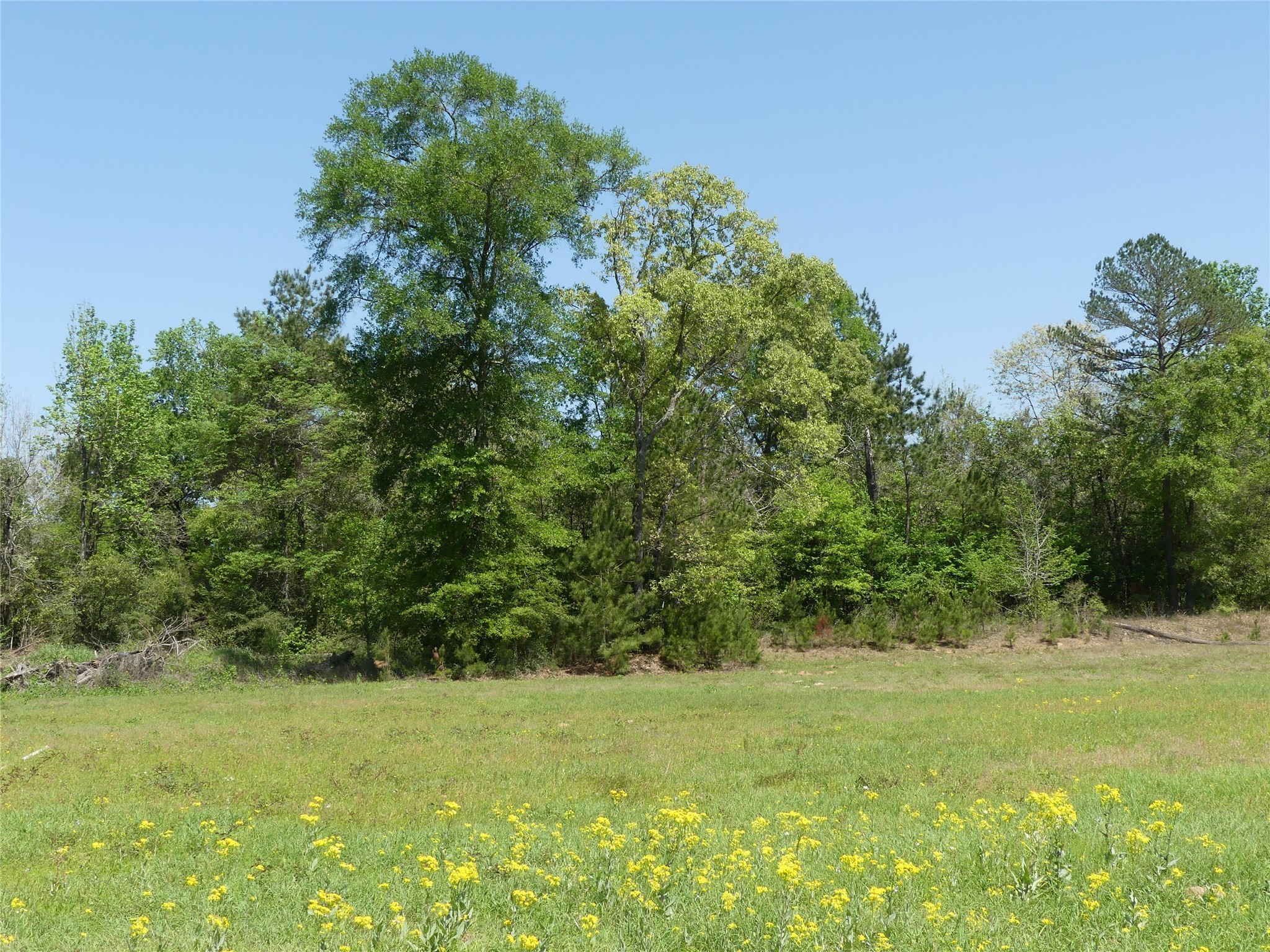 10994 Kittys Lane Conroe, TX 77303 - Photo 25 of 25