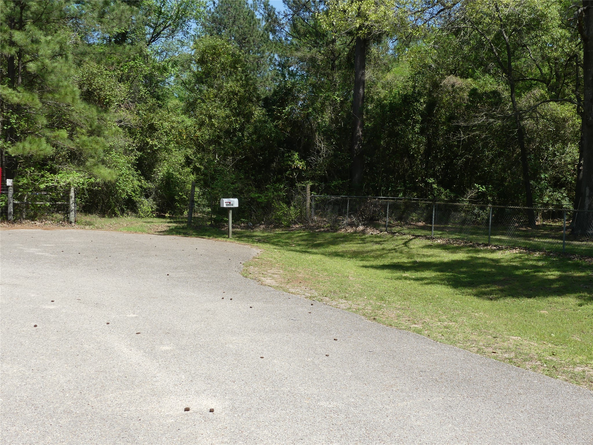 10994 Kittys Lane Conroe, TX 77303 - Photo 3 of 25 a view of a park