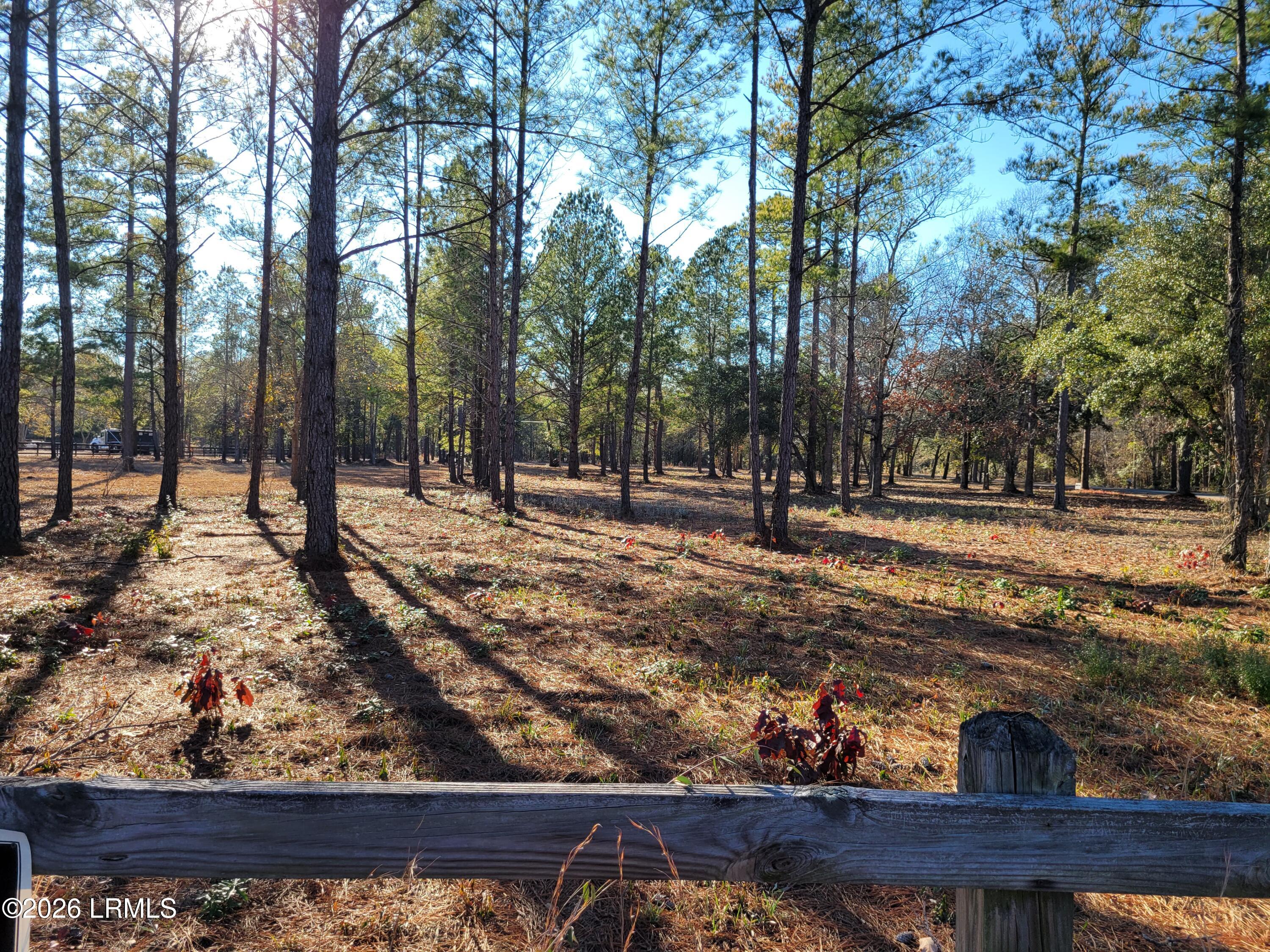 Tbd Beaver Dam Road Ridgeland, SC 29936 - Photo 2 of 10 Beaver Dam at Gray Fence to Beaver Creek