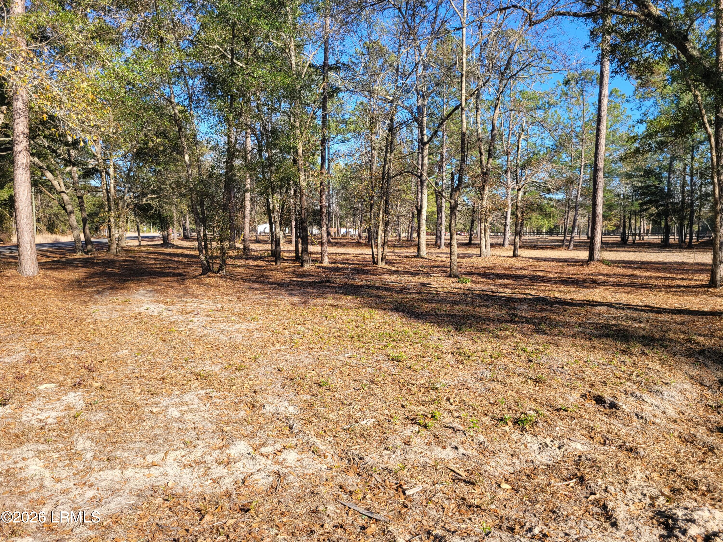 Tbd Beaver Dam Road Ridgeland, SC 29936 - Photo 3 of 10 Beaver Dam Rd drom the rooad