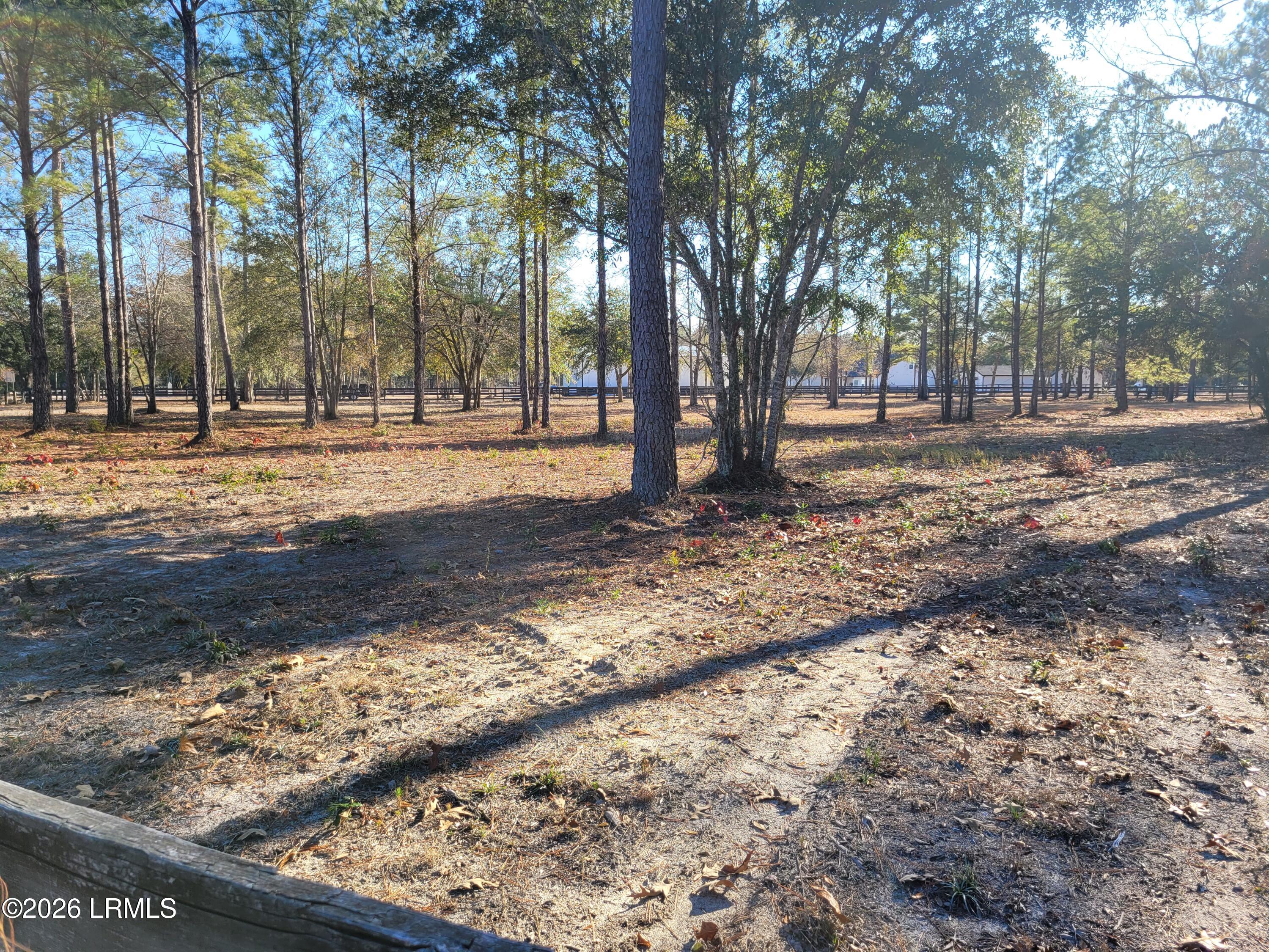 Tbd Beaver Dam Road Ridgeland, SC 29936 - Photo 5 of 10 Beaver Dam at rays Hwy Fence to Neighbor