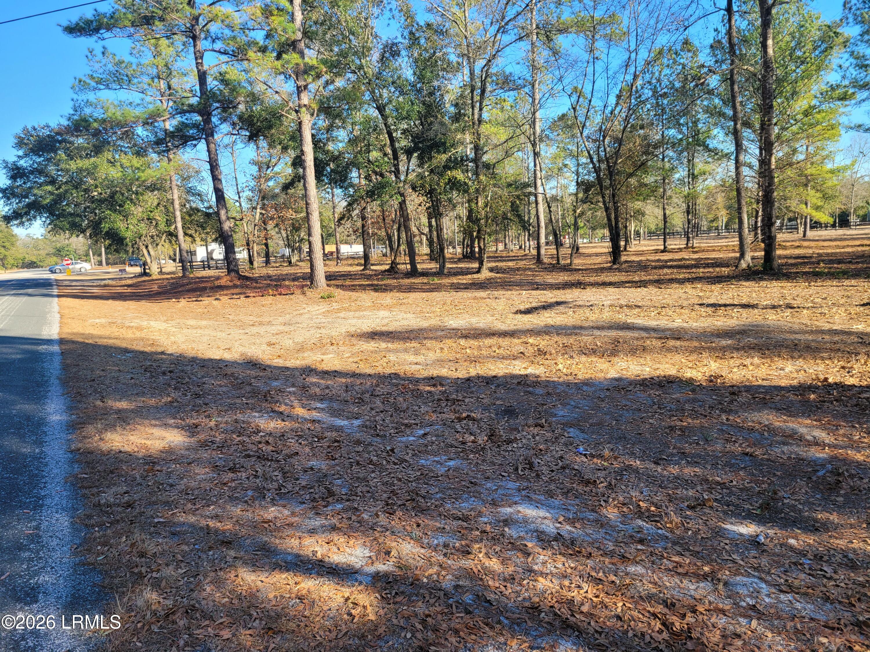 Tbd Beaver Dam Road Ridgeland, SC 29936 - Photo 7 of 10 BeaverDam Rd Frontage