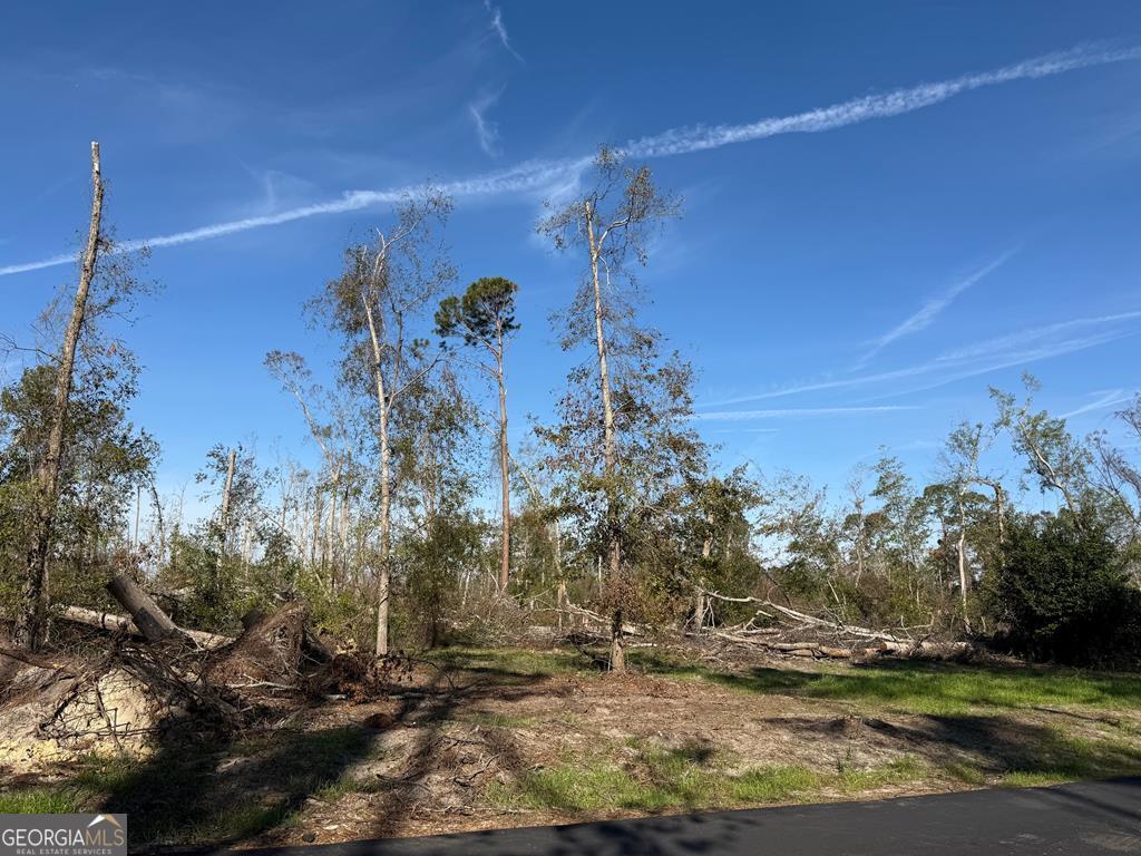 0 Old Graham Road Hazlehurst, GA 31539 - Photo 1 of 1 Front