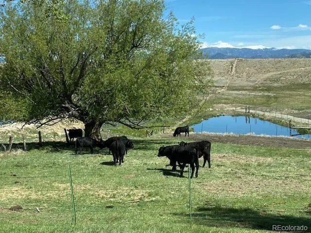 $1,695,000 | 11355 East Co Road 270, Nathrop, CO 81236