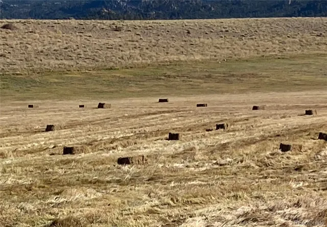 $1,695,000 | 11355 East Co Road 270, Nathrop, CO 81236