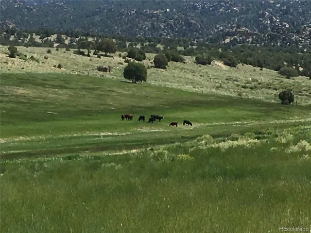 $1,695,000 | 11355 East Co Road 270, Nathrop, CO 81236