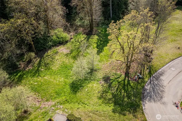 a view of a yard with plants and tree