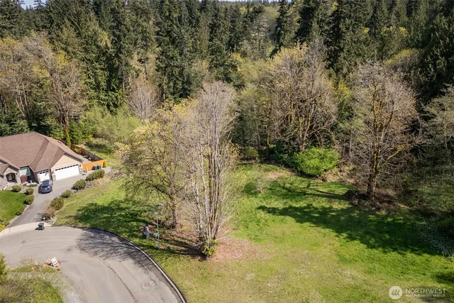 a view of a yard with plants and large trees