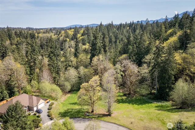 a view of a city with lush green forest