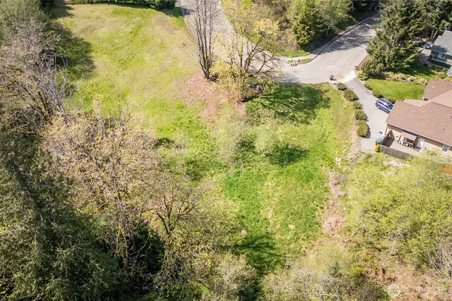 a view of a yard with plants